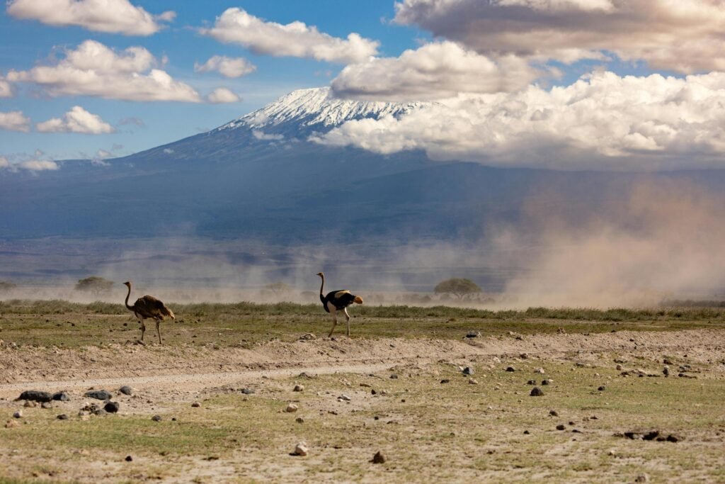 Kilimanjaro Hiking Difficulty