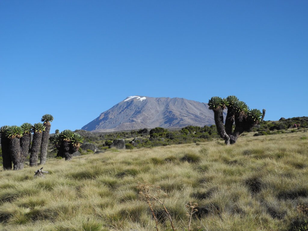 Kilimanjaro Hiking Difficulty