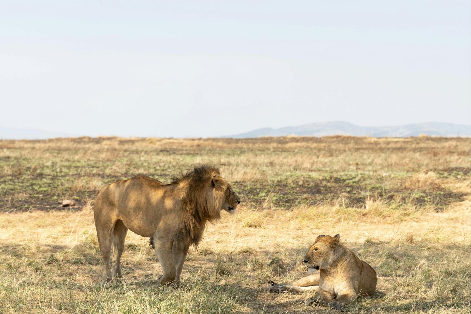 6-Day Kilimanjaro Climb: Quiet Rongai Route