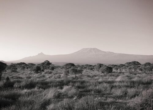 9-Day Kilimanjaro Climb: Grand Northern Circuit Route