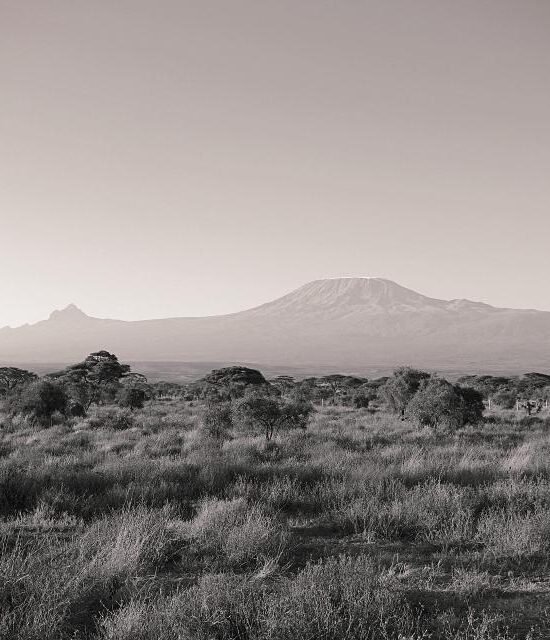 9-Day Kilimanjaro Climb: Grand Northern Circuit Route