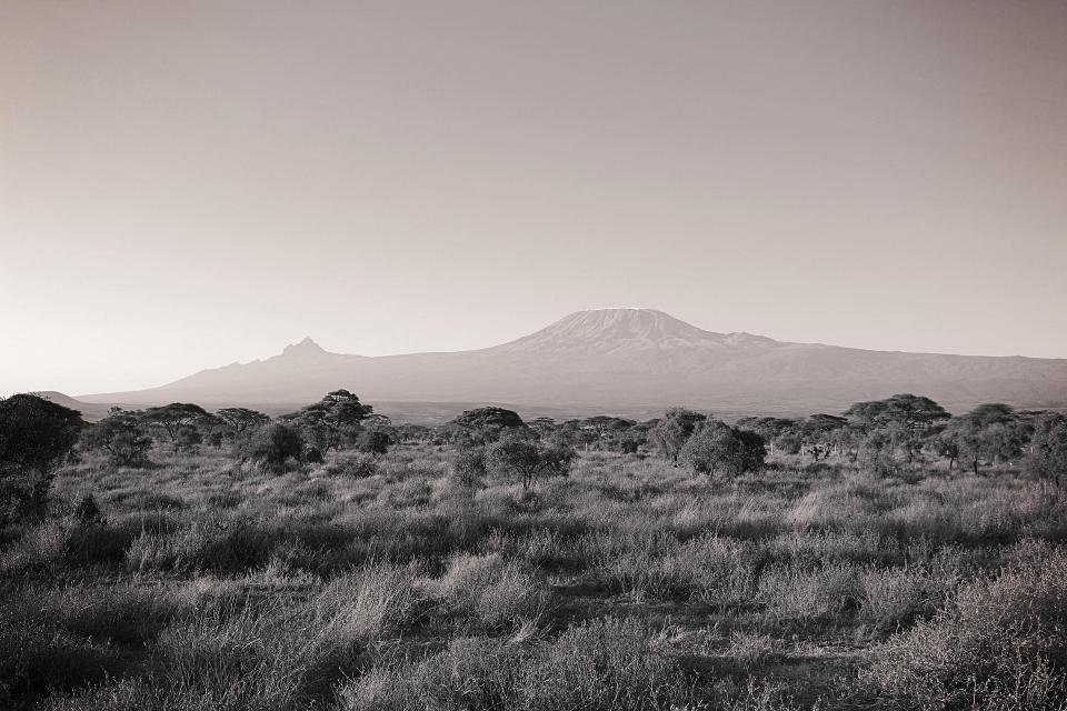 9-Day Kilimanjaro Climb: Grand Northern Circuit Route