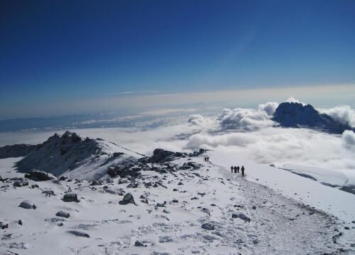 6-Day Kilimanjaro Climb: Bold Umbwe Route