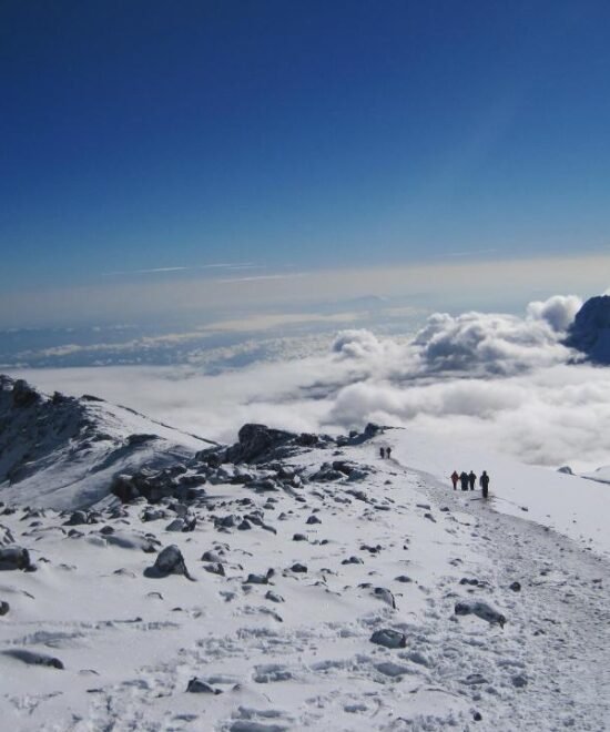 6-Day Kilimanjaro Climb: Bold Umbwe Route