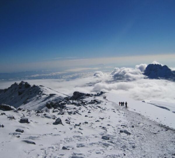 Altitude Acclimatization on Kilimanjaro