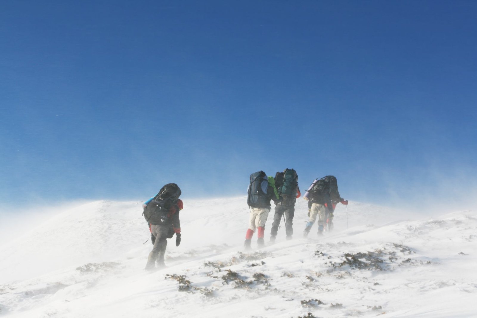 7-Day Kilimanjaro Climb: Well-Paced Machame Route