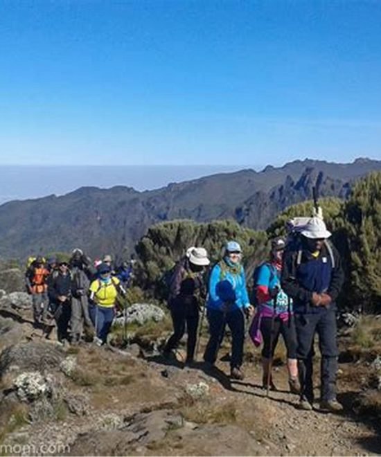 6-Day Kilimanjaro Climb: Classic Marangu Route
