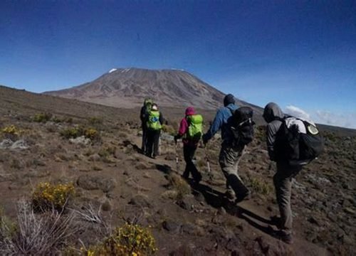6-Day Kilimanjaro Climb: Classic Machame Route