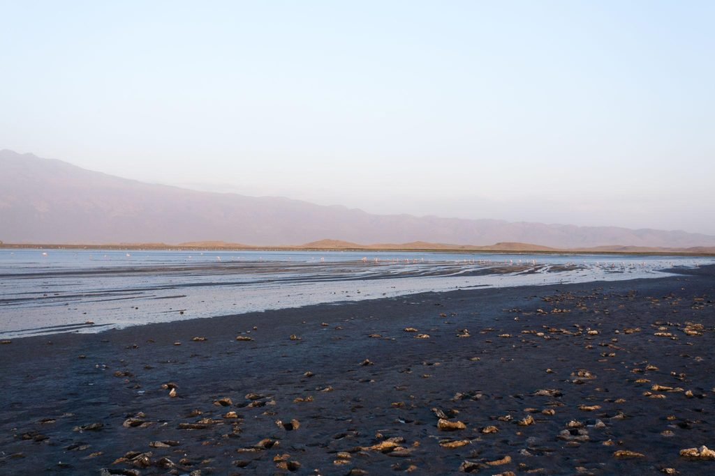 Lake Manyara National Park: Tanzania’s Tree-Climbing Lion and Flamingo Safari