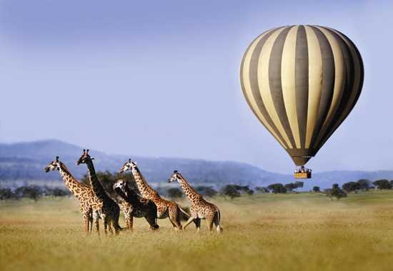 Discover the Breathtaking Beauty of Tanzania from Above with Balloon Flights