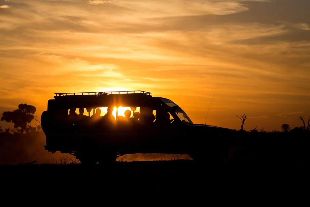 Night Game Drive in Tanzania’s Protected Areas: A Rare After-Dark Wildlife Experience