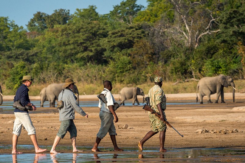 Walking Safari in Tanzania’s Protected Areas – Experience Nature Up Close