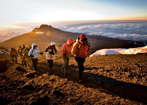 Altitude Acclimatization on Kilimanjaro: 8 Smart Ways to Climb Higher, Safer