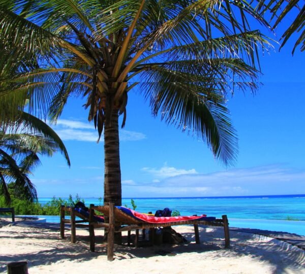 Zanzibar Beach Holidays with EKO Tanzania Adventures: 9 Great Ways to Relax and Explore