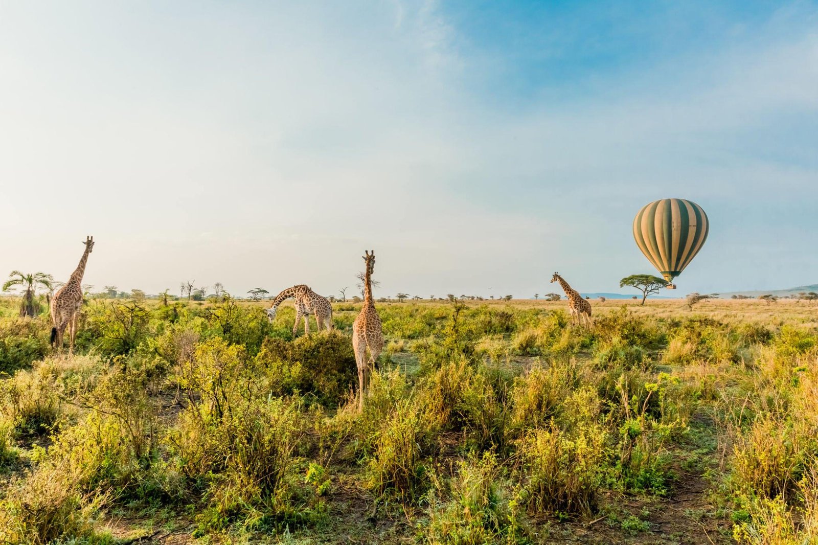 Balloon Safari Tanzania