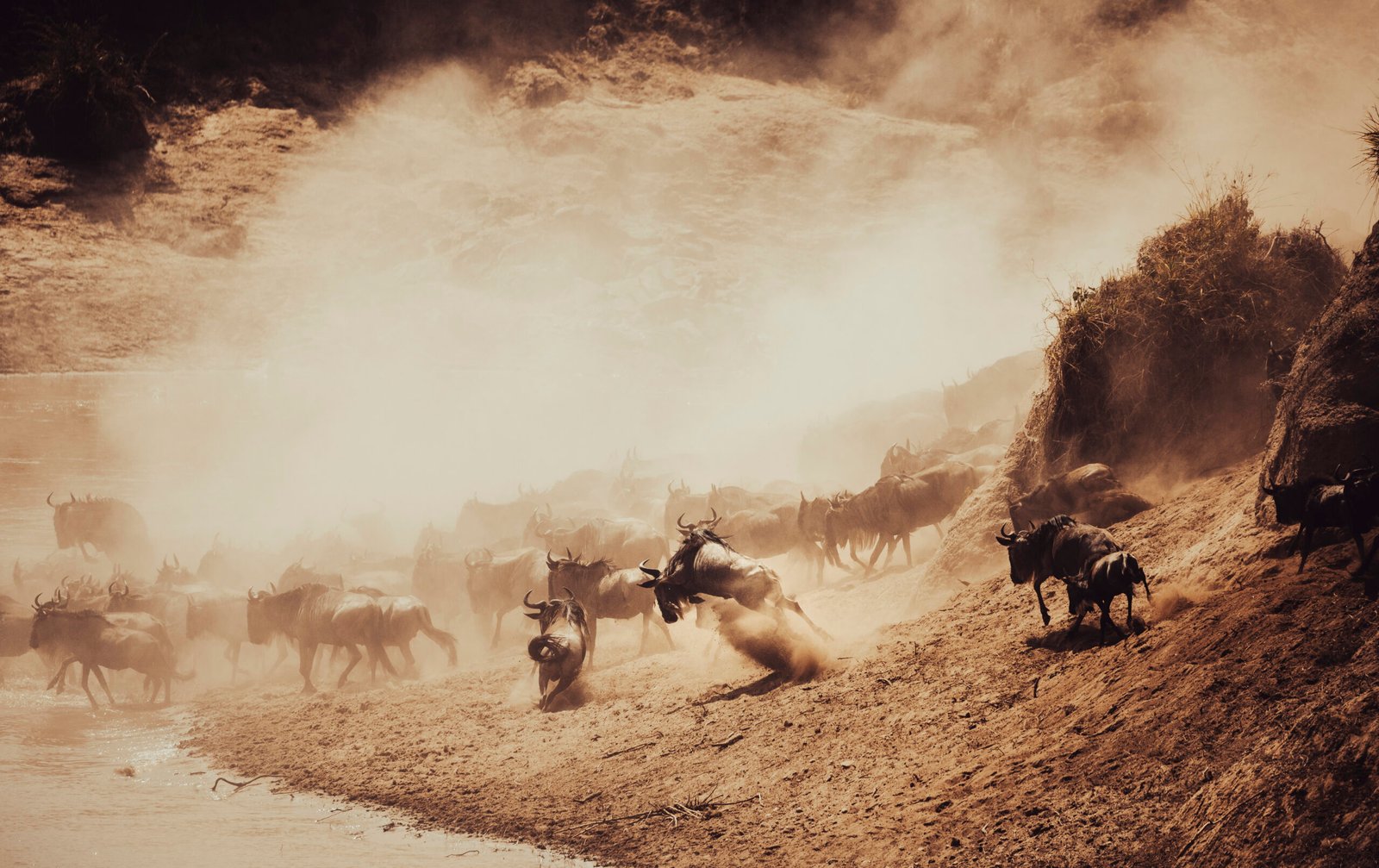 Serengeti Great Migration safari travel guide