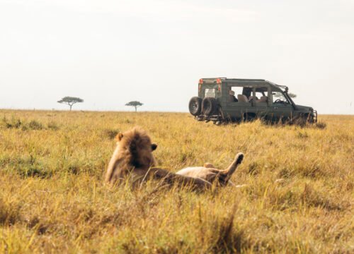 Volunteer with EKO Tanzania Adventures – Travel with Purpose