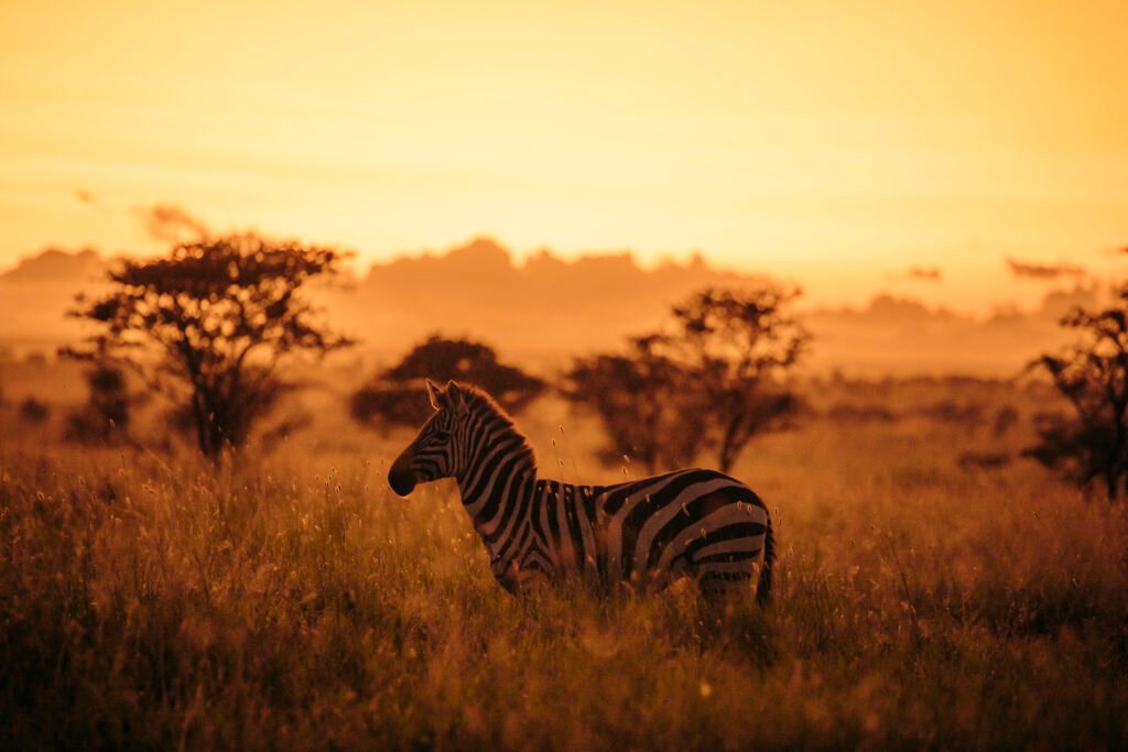 Volunteer with EKO Tanzania Adventures – Travel with Purpose