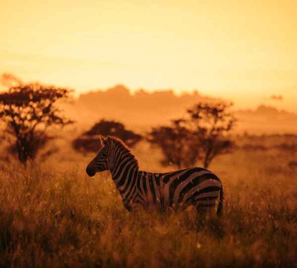 Volunteer with EKO Tanzania Adventures – Travel with Purpose