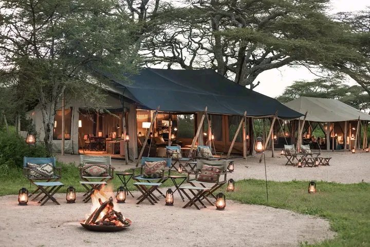 The Best Serengeti Safari Lodges and Camps for Every Budget in 2026–2027: Complete Guide