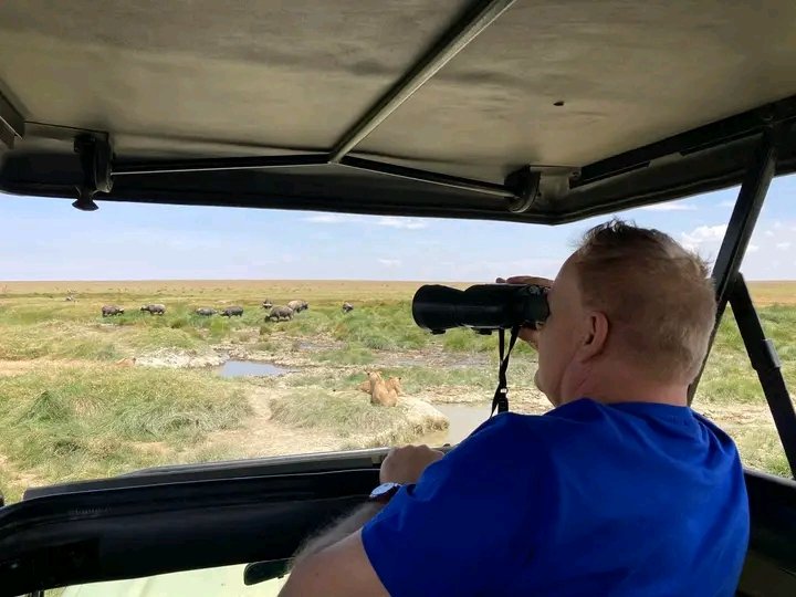 Why April in Tanzania Is the Greatest Month for a Safari Adventure in 2026–2028
