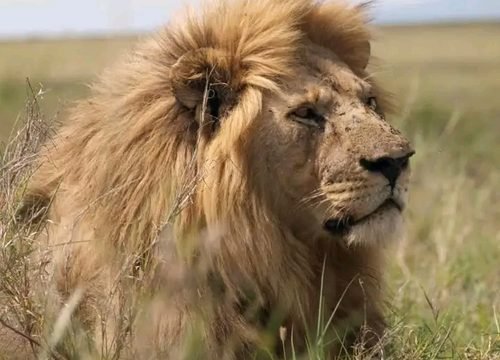 Top African Vacation Destinations for 2026, 2027, and 2028
