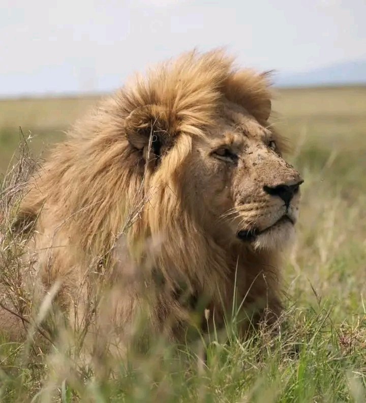 Top African Vacation Destinations for 2026, 2027, and 2028