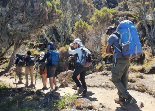 The Greatest 9-Day Lemosho Route for Kilimanjaro Climbing in 2026, 2027, and 2028: A Complete Guide to 12 Famous Locations