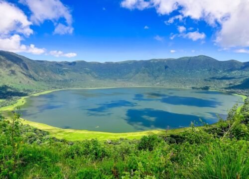 1-Day Ngorongoro Crater Safari: Big Five Country
