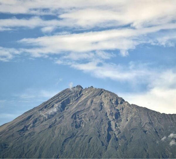 Arusha National Park: Tanzania’s Best 1-Day Safari for Mount Meru Views