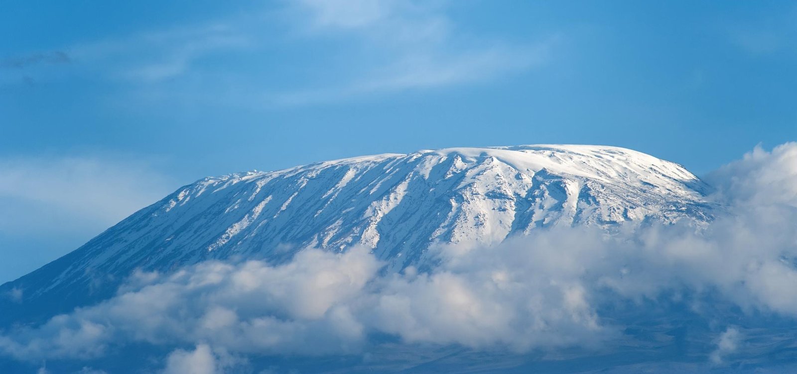 The Top Operator, Guide, and Company for the Kilimanjaro Trek: 9 Crucial Facts to Safeguard Your Summit Dream in 2026 & 2027
