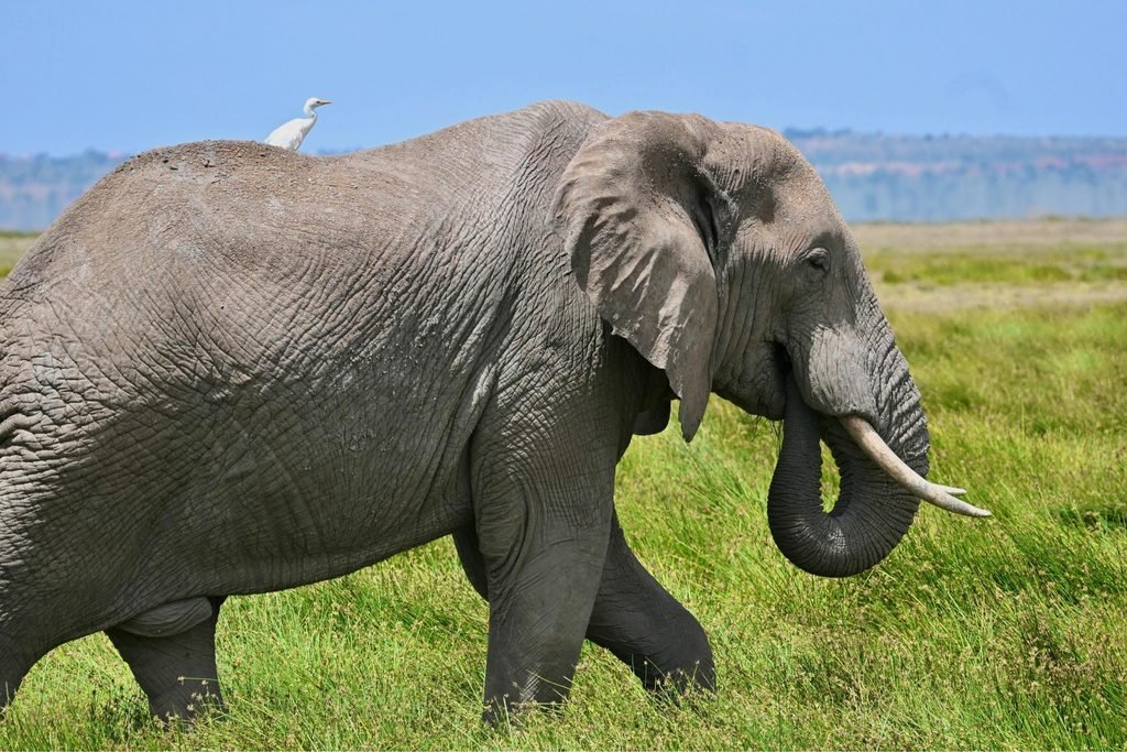 How to Choose a Tanzania Safari Itinerary: 12 Smart Ways to Avoid a Rushed Trip