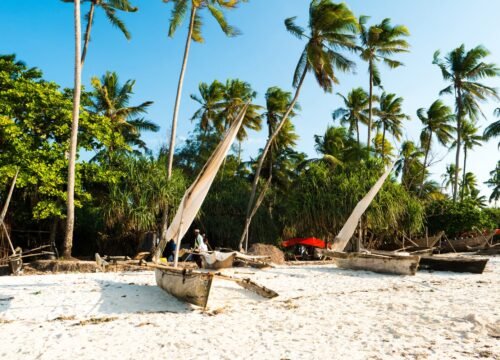 5-Day Zanzibar Safari Extension: Ocean, Culture & Beach Recovery