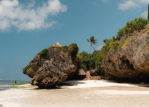 8-Day Zanzibar Island Discovery Tour: Beaches, Culture & Ocean Adventures