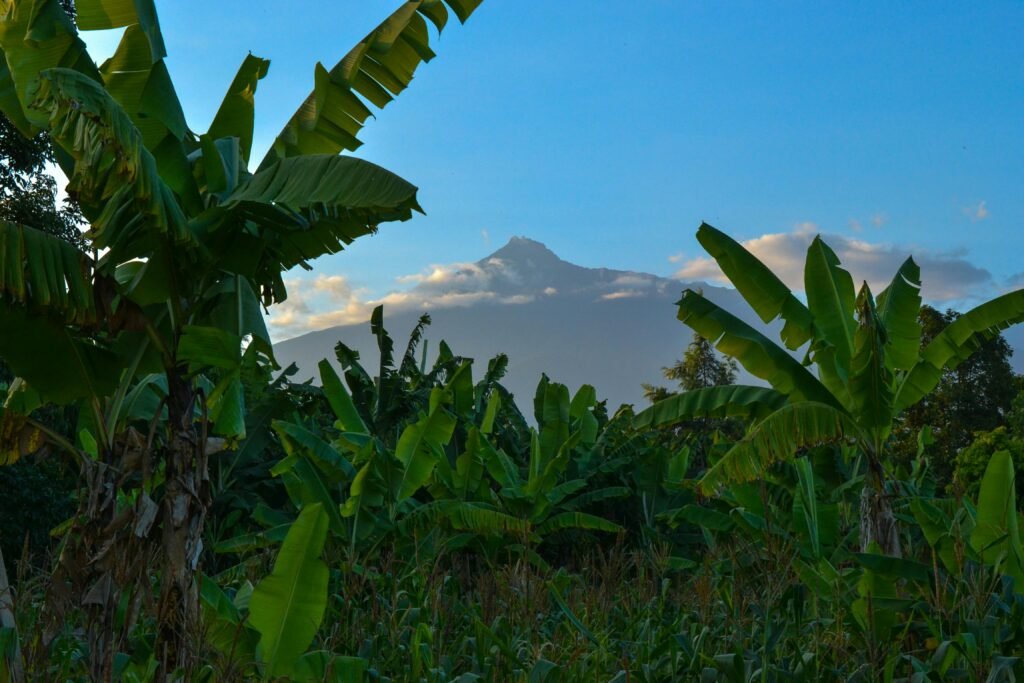 Arusha National Park: Tanzania’s Best 1-Day Safari for Mount Meru Views