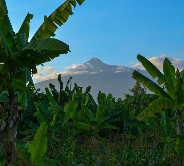 Arusha National Park: Tanzania’s Best 1-Day Safari for Mount Meru Views