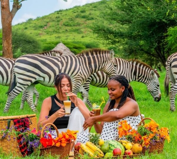 1-Day Arusha National Park Safari: Wild Views of Mount Meru