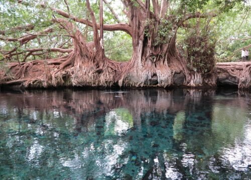 1-Day Chemka Hot Springs: Clear Water & Kilimanjaro Foothills