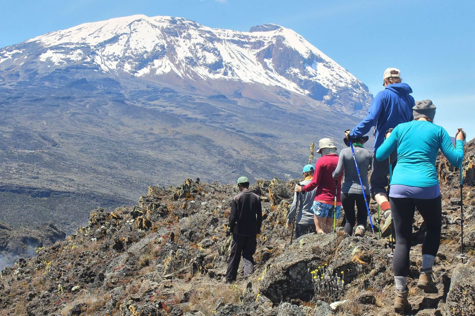 Kilimanjaro Northern Traverse, 9 Days Rongai Route: 9 Strong Arguments for This Calm Route(2026-2028)