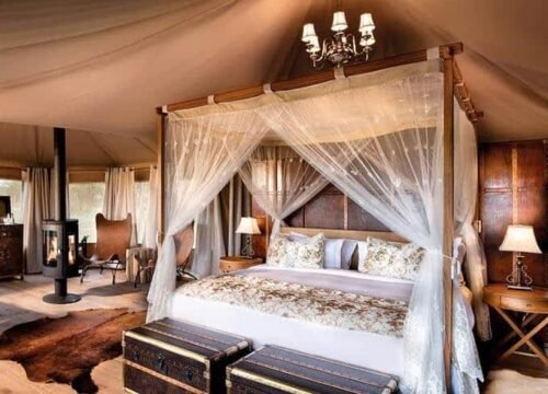 Tanzania’s Greatest 4-Day Luxury Lodge Safari in 2026–2028: An Unforgettable Journey Through Tarangire, Serengeti & Ngorongoro National Park