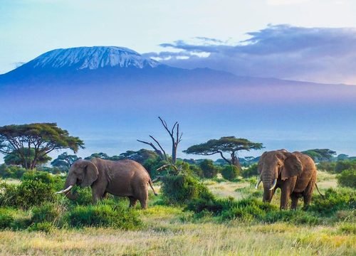 The Cheapest Kilimanjaro Route in 2026 and 2027: 7 Astute Price Comparisons That Will Save You Thousands