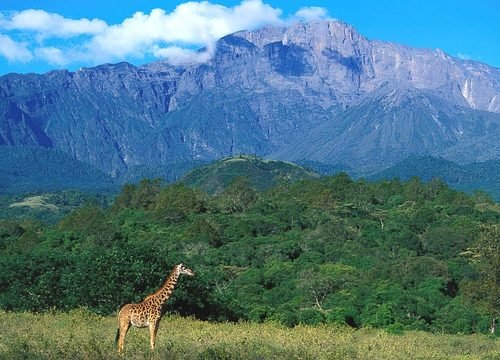 The Ultimate 5-Day Mount Meru Trek 2026-2027: An Epic & Unforgettable Summit Adventure