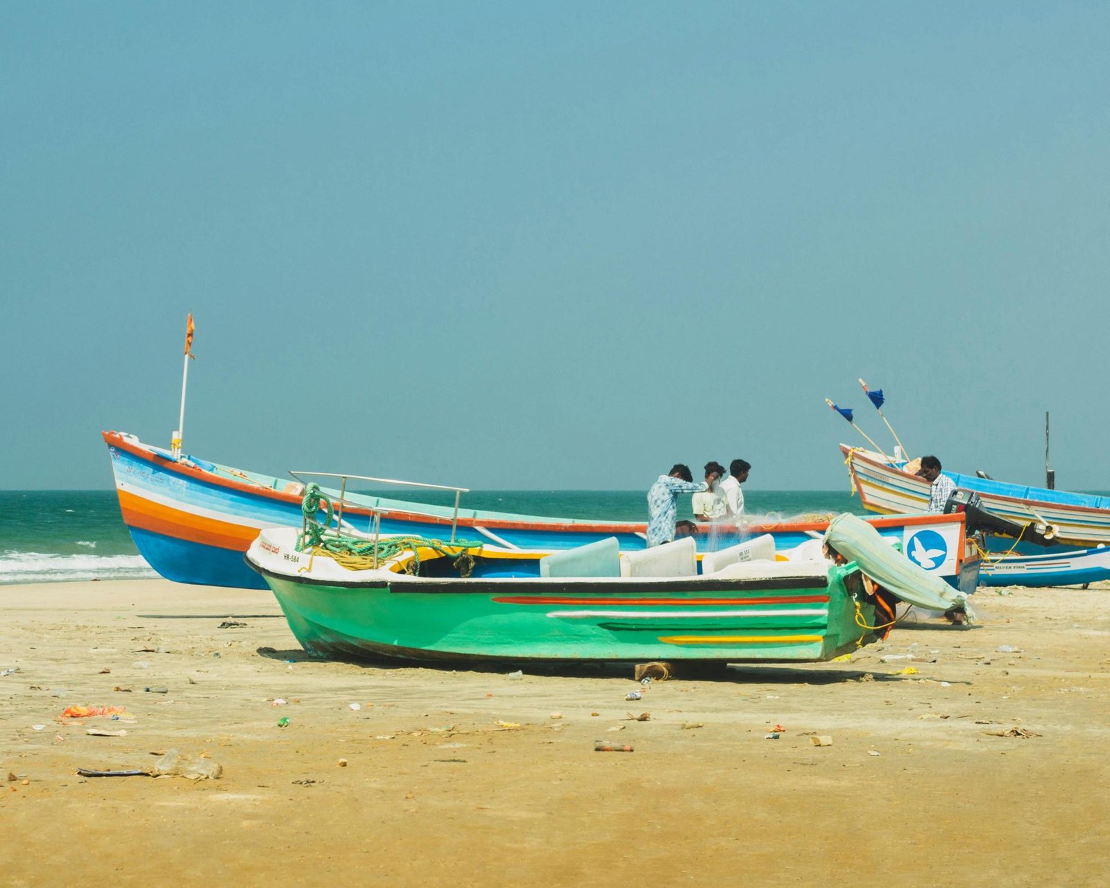 6-Day Saadani Safari & Zanzibar Beach Holiday: 1 Rare Coastal Wildlife Escape