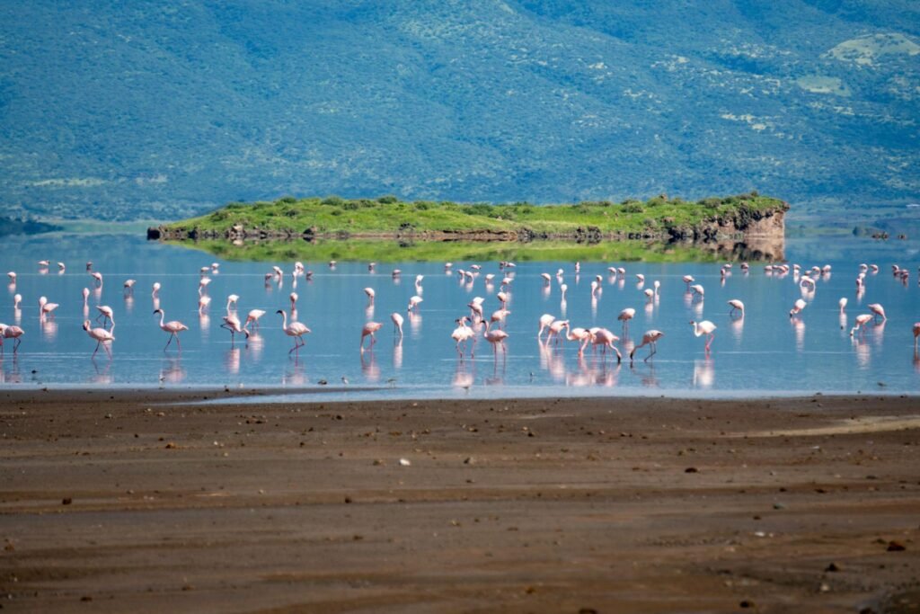 9-Day Northern Tanzania Wilderness Safari