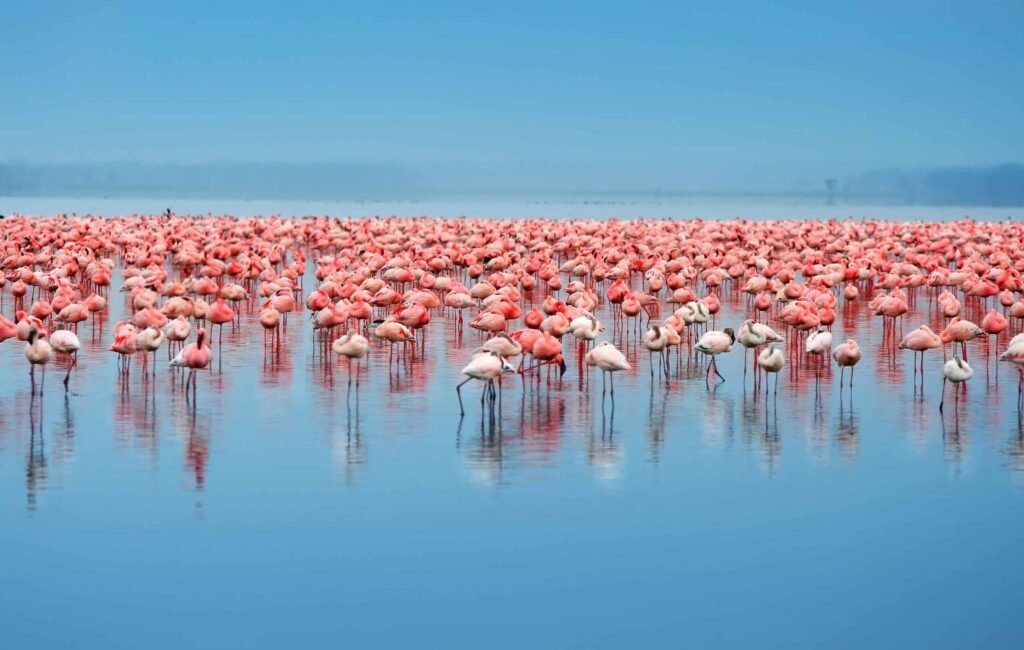 9-Day Northern Tanzania Wilderness Safari