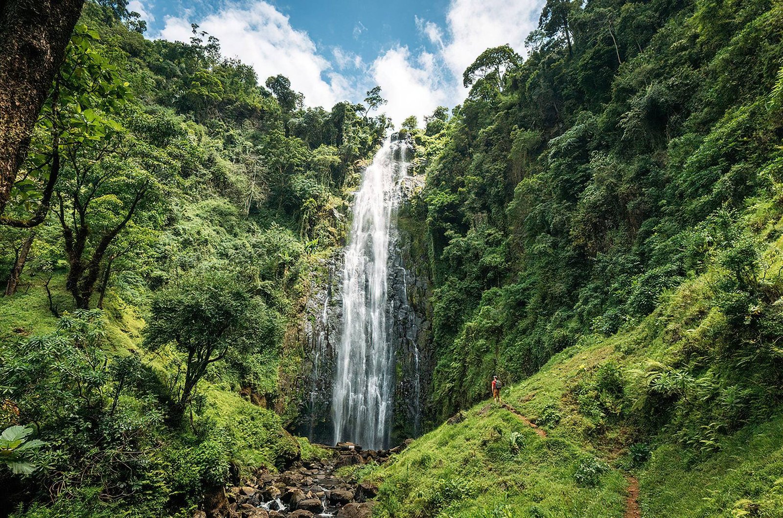 4-Day Kilimanjaro & Moshi Adventure: Waterfalls, Coffee and Hot Springs