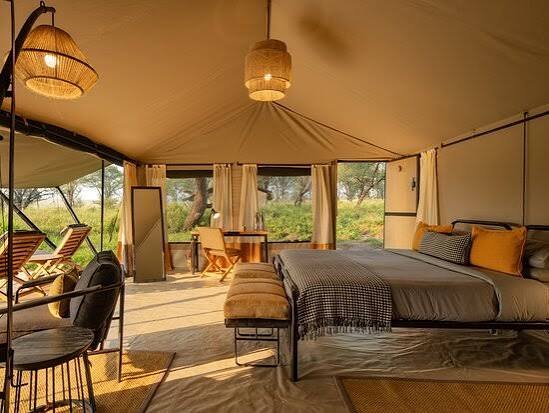 The Greatest Tarangire, Serengeti & Ngorongoro Safari 2026–2028