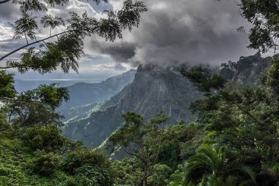 3-Day Usambara Mountains Hiking Tour: A Refreshing Tanzania Highlands Escape